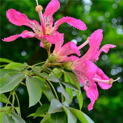 中欧体育·中国官方手机版